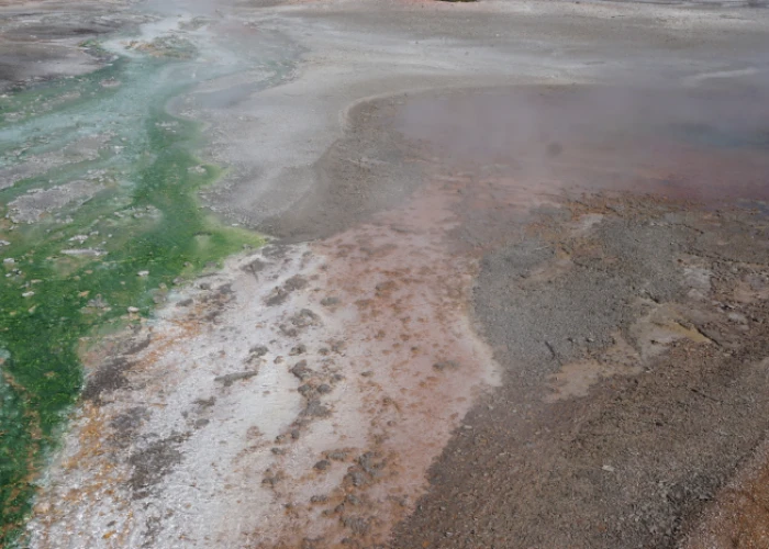 Az élet hajnalának kutatása a hadeikumi Földön