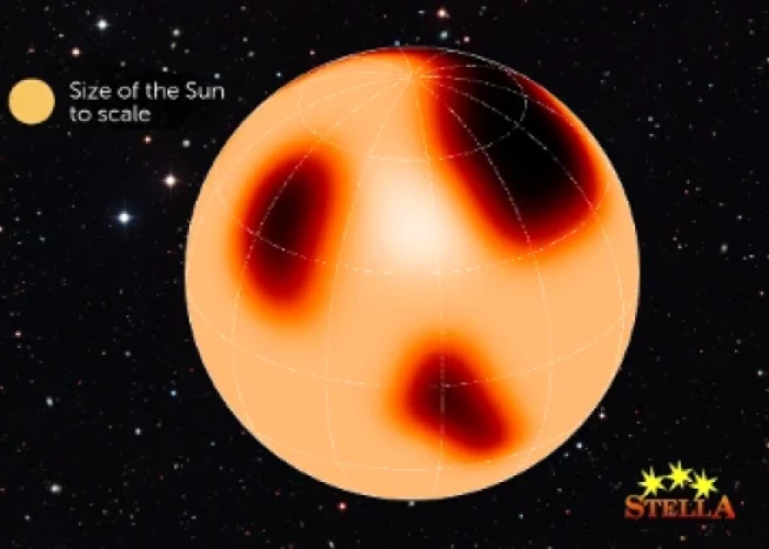 Starspot activity of the red giant XX Trianguli indicate non-periodic, chaotic dynamo