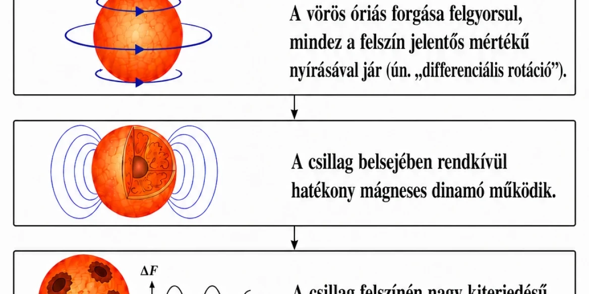 Magyar_flowchart(1)