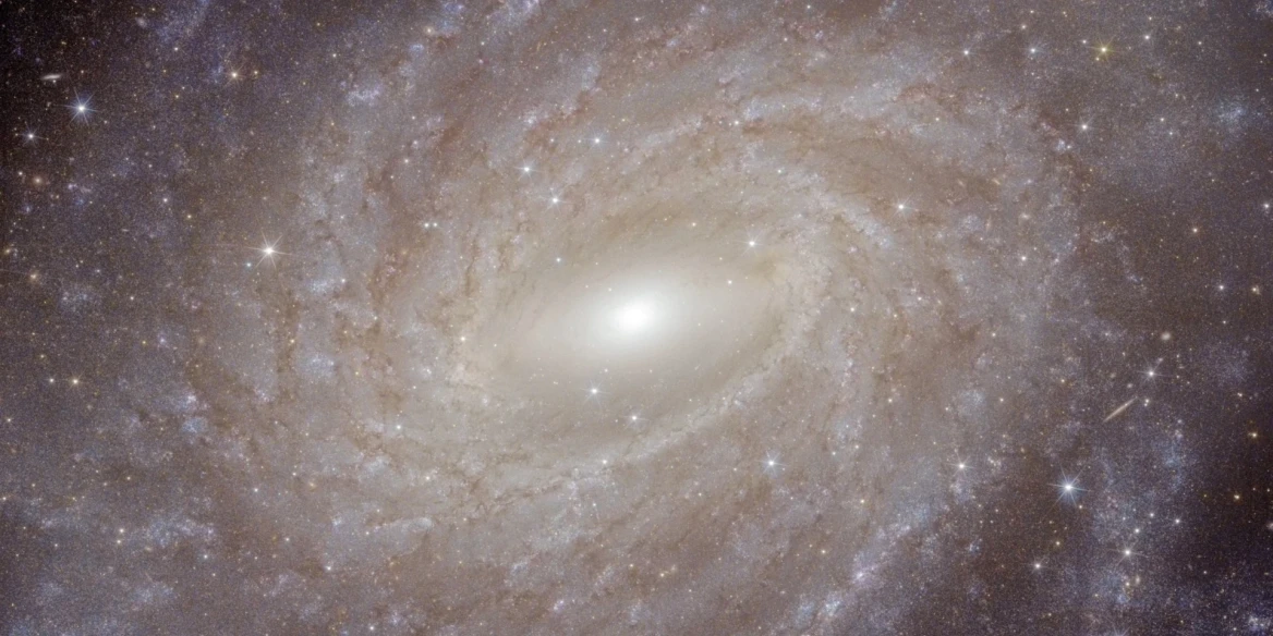 Az NGC6744 galaxis a Euclid űrtávcső felvételén. A kép az eredeti egy kivágott részlete. Fotó: ESA/Euclid/Euclid Consortium/NASA