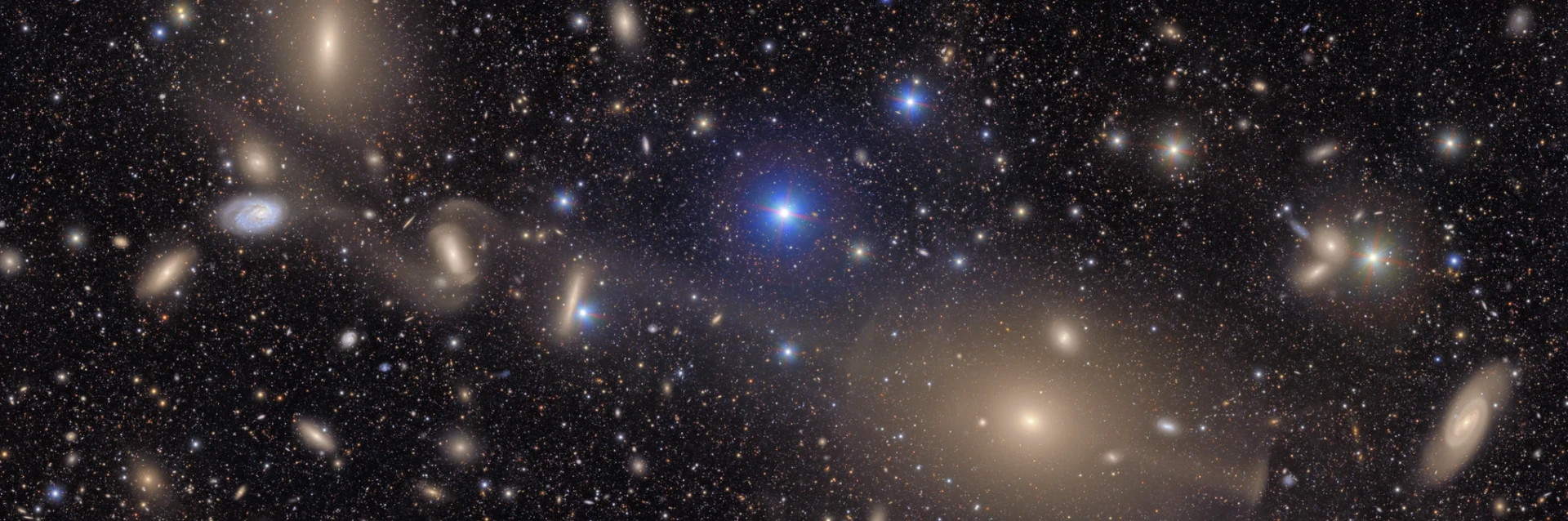 LSST First Look 